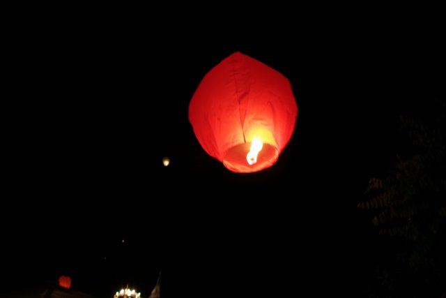 2008-kk-396.jpg